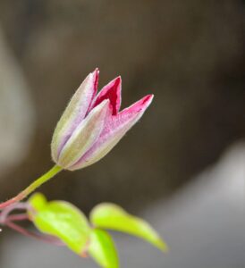 初心者におすすめのFX取引方法とは？