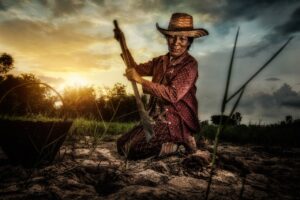 積立NISA初心者におすすめの銘柄は？