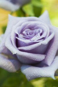 副業で月10万を稼ぐ方法は何ですか？