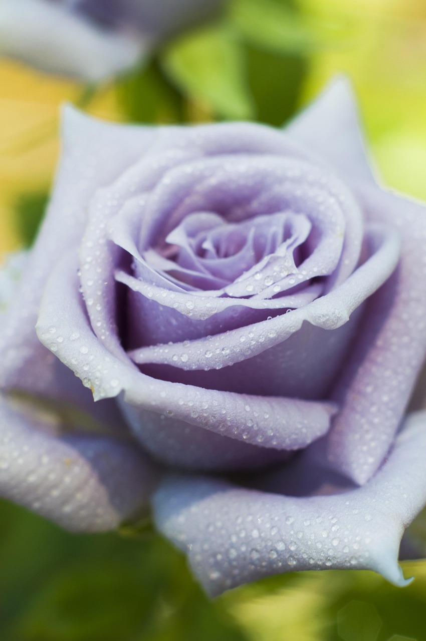 副業で月10万を稼ぐ方法は何ですか？