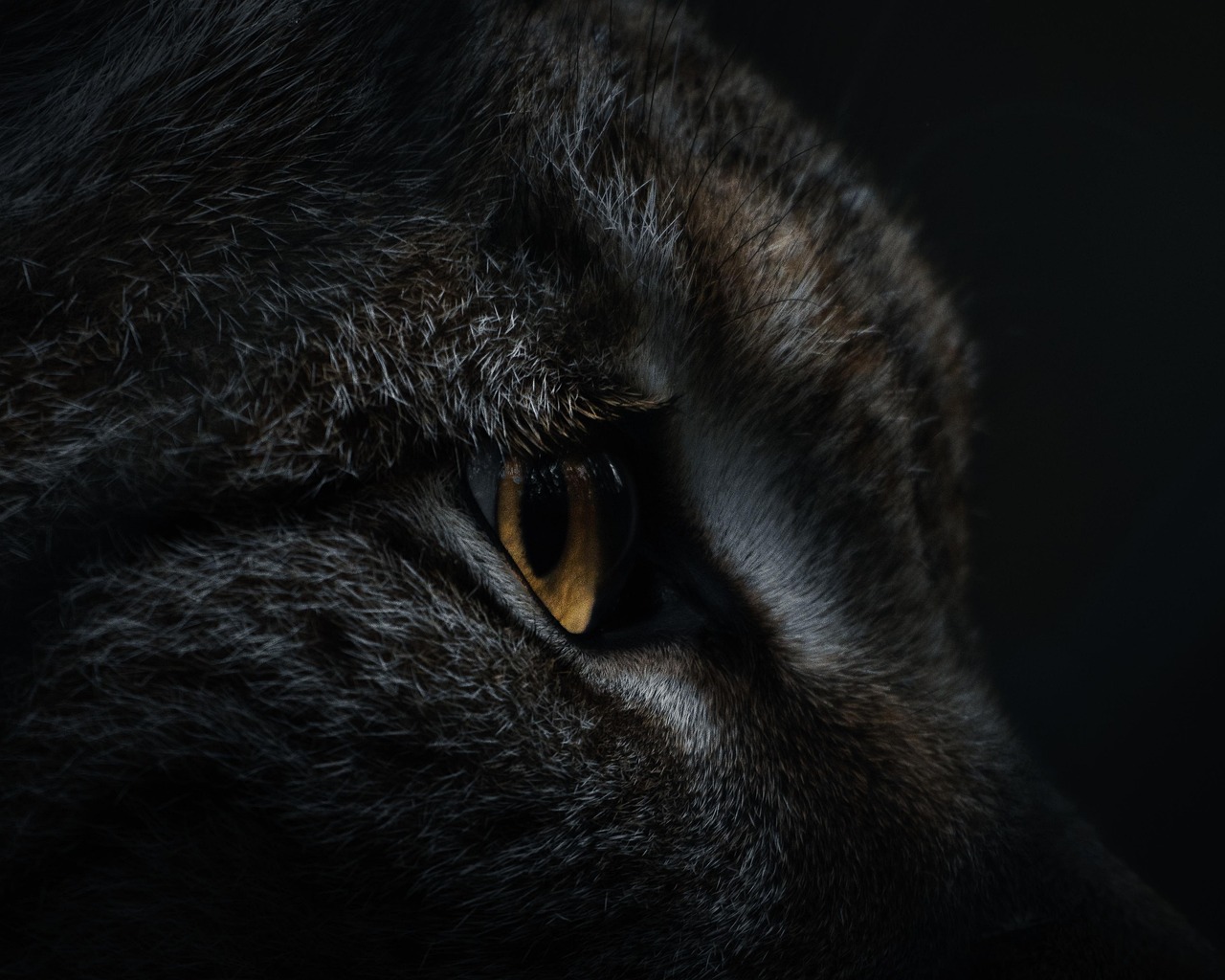 平日の夜にできる副業のおすすめは？